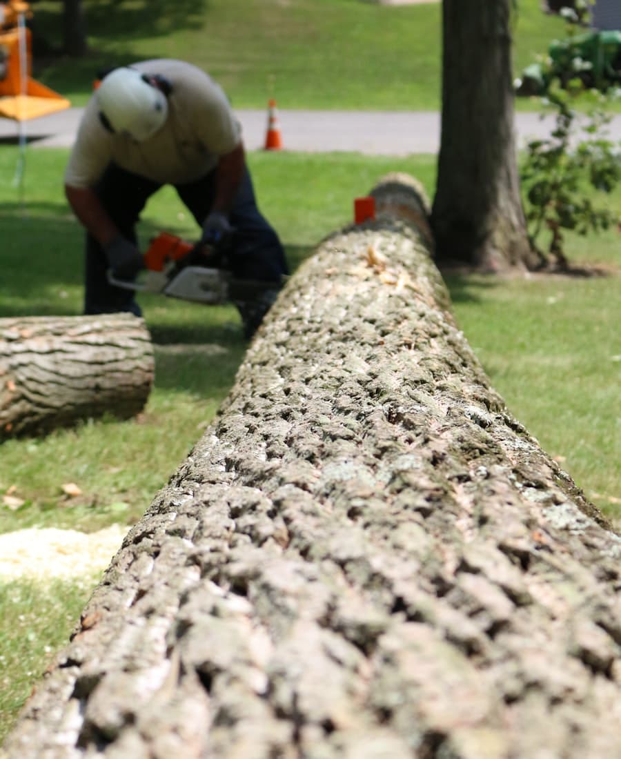 Tree Care lead generation